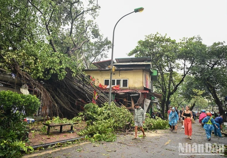 越南新闻：紧急克服三号台风后果，三号台风造成9人死亡187人受伤