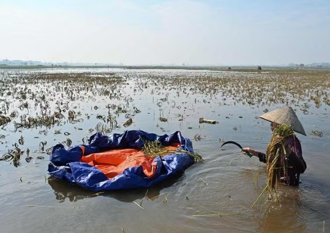 越南新闻：越南接连降暴雨 中部洪灾造成三人死亡